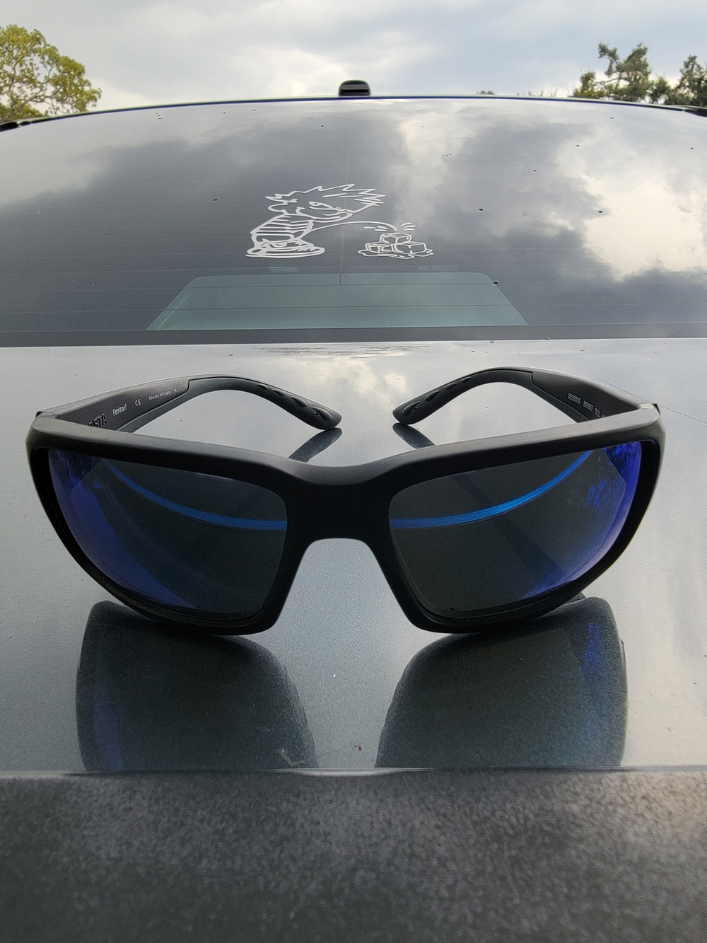 Costa Sunglasses